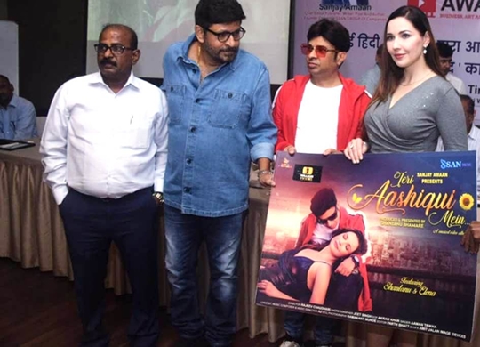 Shantanu Bhamare  Elena Tuteja And Team Celebrates Success of 1 Million Views For Teri Aashiqui Mein